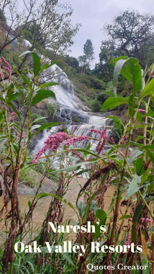 Oak Valley Resorts Kotagiri Bagian luar foto